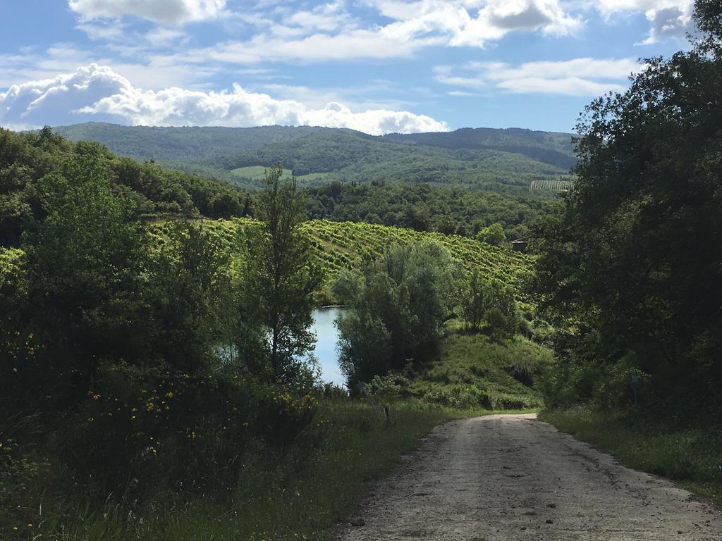 Podere Terreno Alla Via Della Volpaia Radda in Chianti Eksteriør bilde