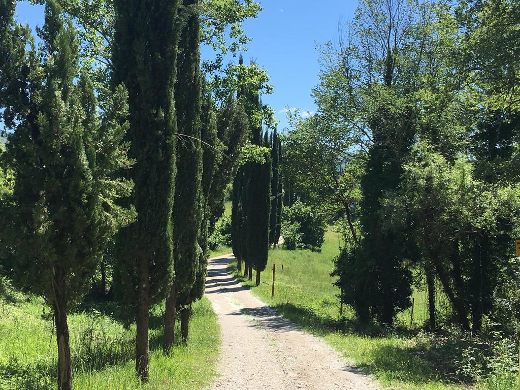 Podere Terreno Alla Via Della Volpaia Radda in Chianti Eksteriør bilde