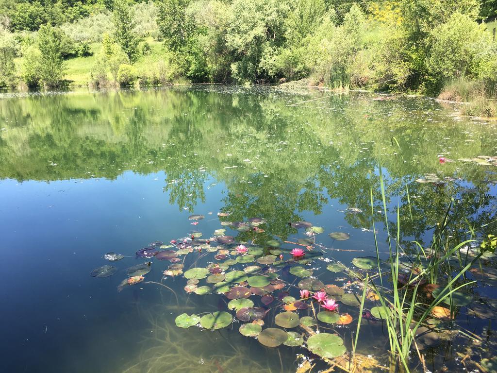 Podere Terreno Alla Via Della Volpaia Radda in Chianti Eksteriør bilde