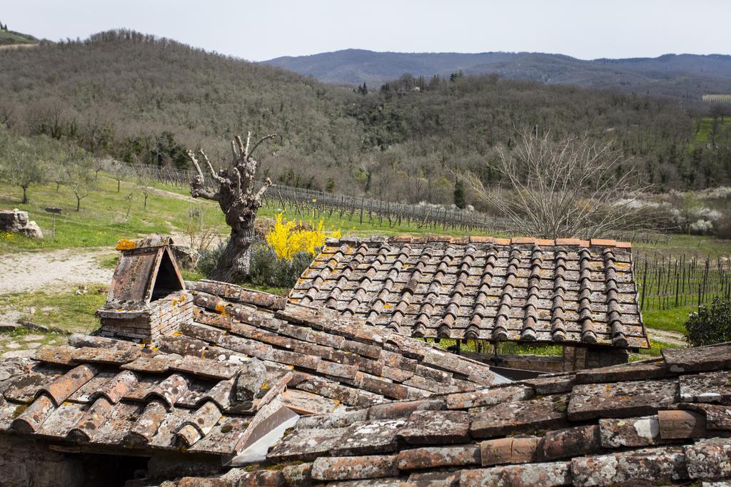 Podere Terreno Alla Via Della Volpaia Radda in Chianti Eksteriør bilde