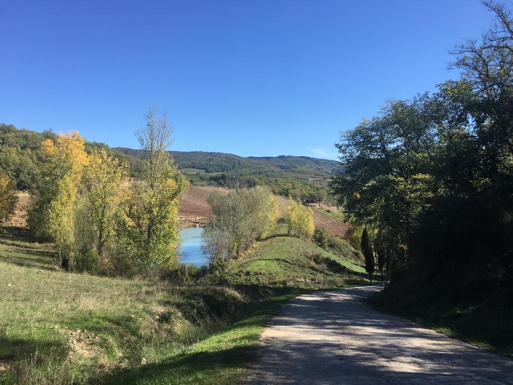 Podere Terreno Alla Via Della Volpaia Radda in Chianti Eksteriør bilde